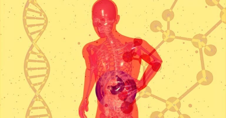 1200x630-Gut bacteria and insomnia a two-way effect