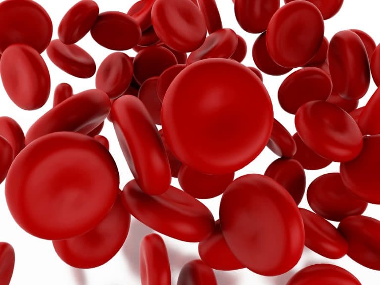 3D red blood cells