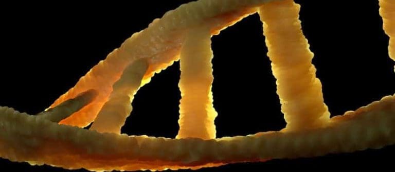 DNA