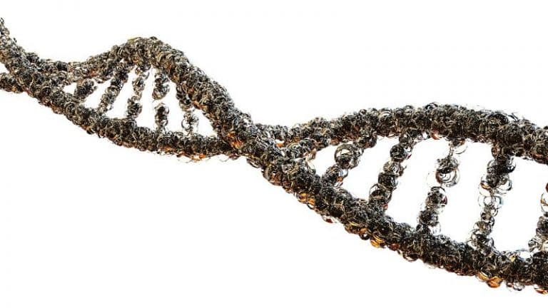 GENETICCC
