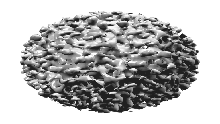 Hepatitis B