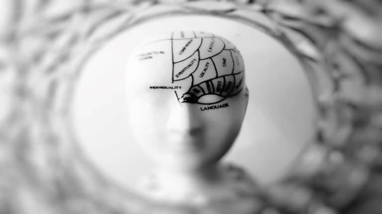 BRAIN 10