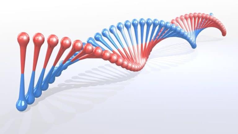 DNA 1