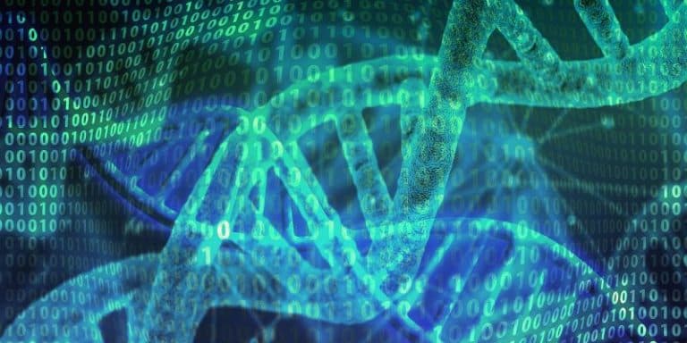 DNA8