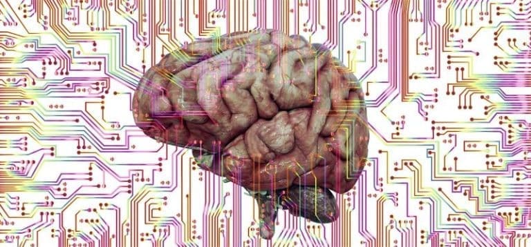 BRAIN 29