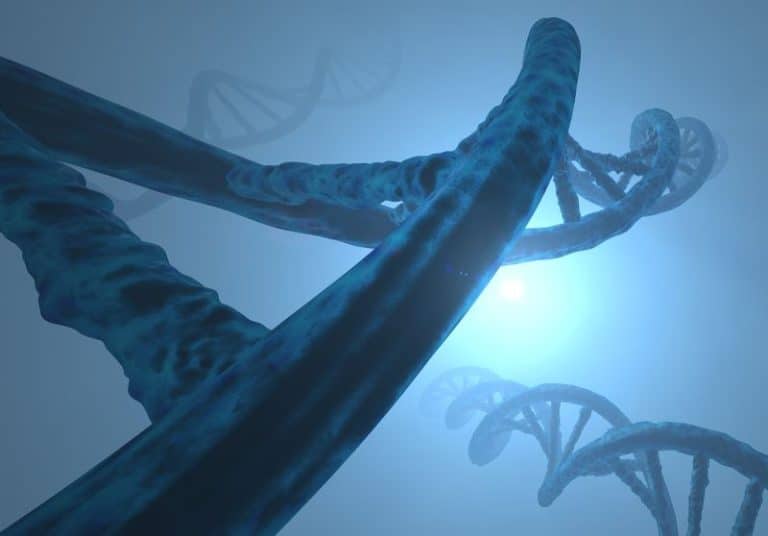 GENETIC