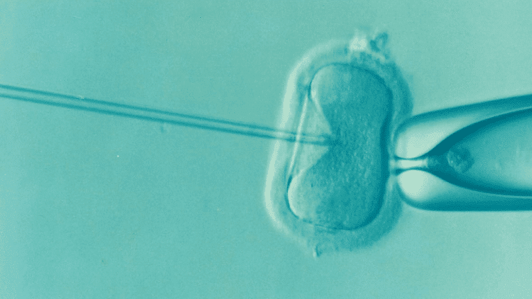 IVF הפרייה