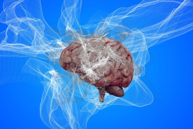 BRAIN17