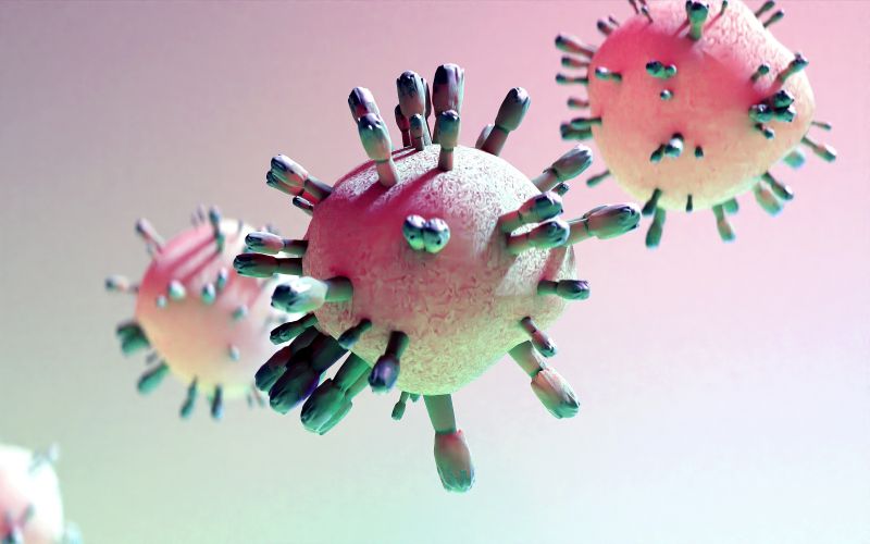 Bacteria11