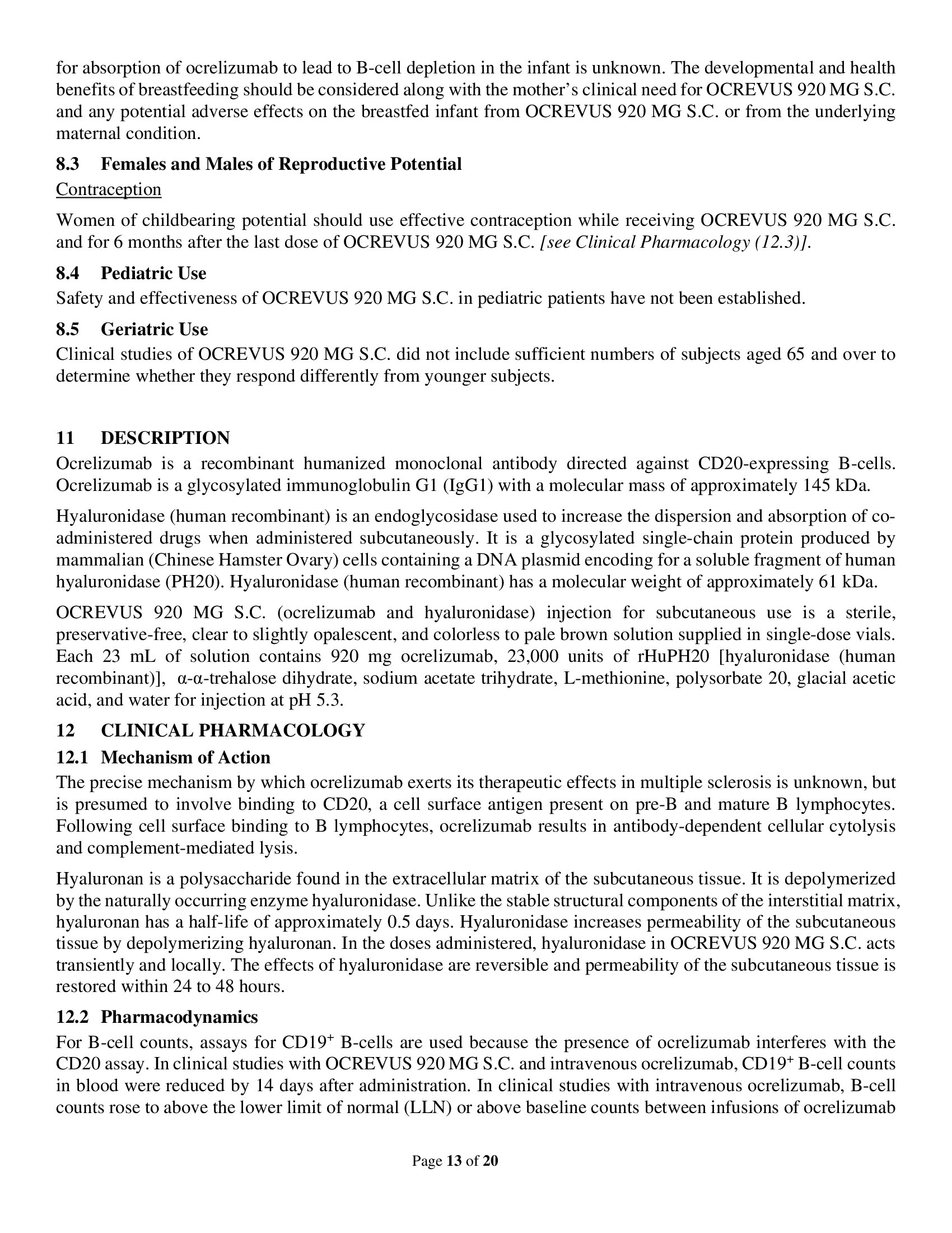 Page 13